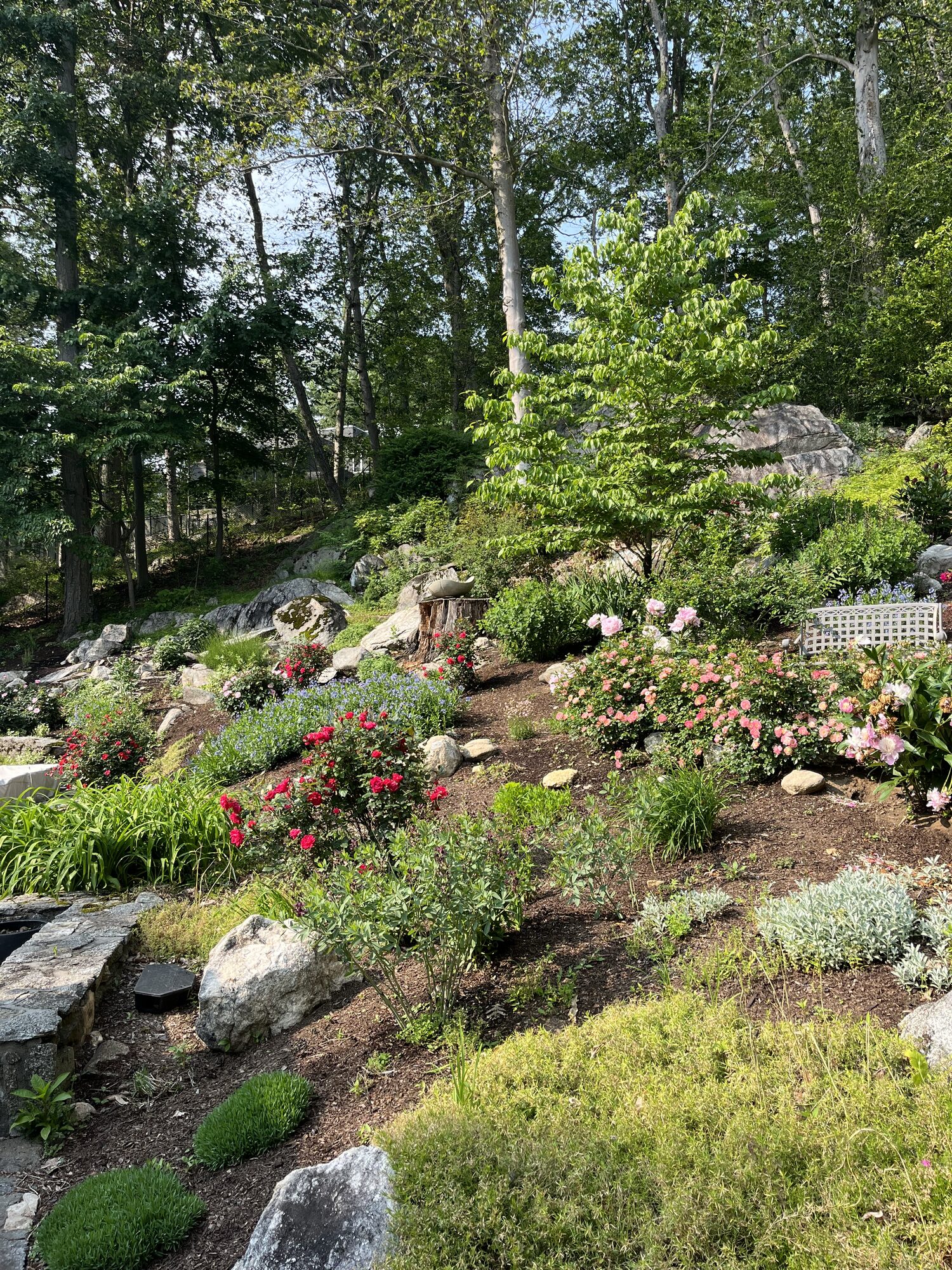 What Is a Berm and Why Use One in Your Landscape?