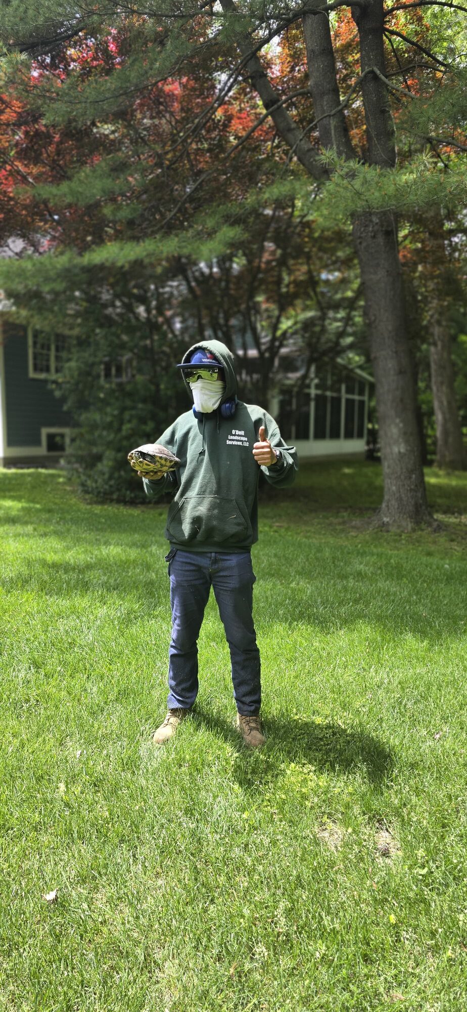 Crew member found a turtle on the job