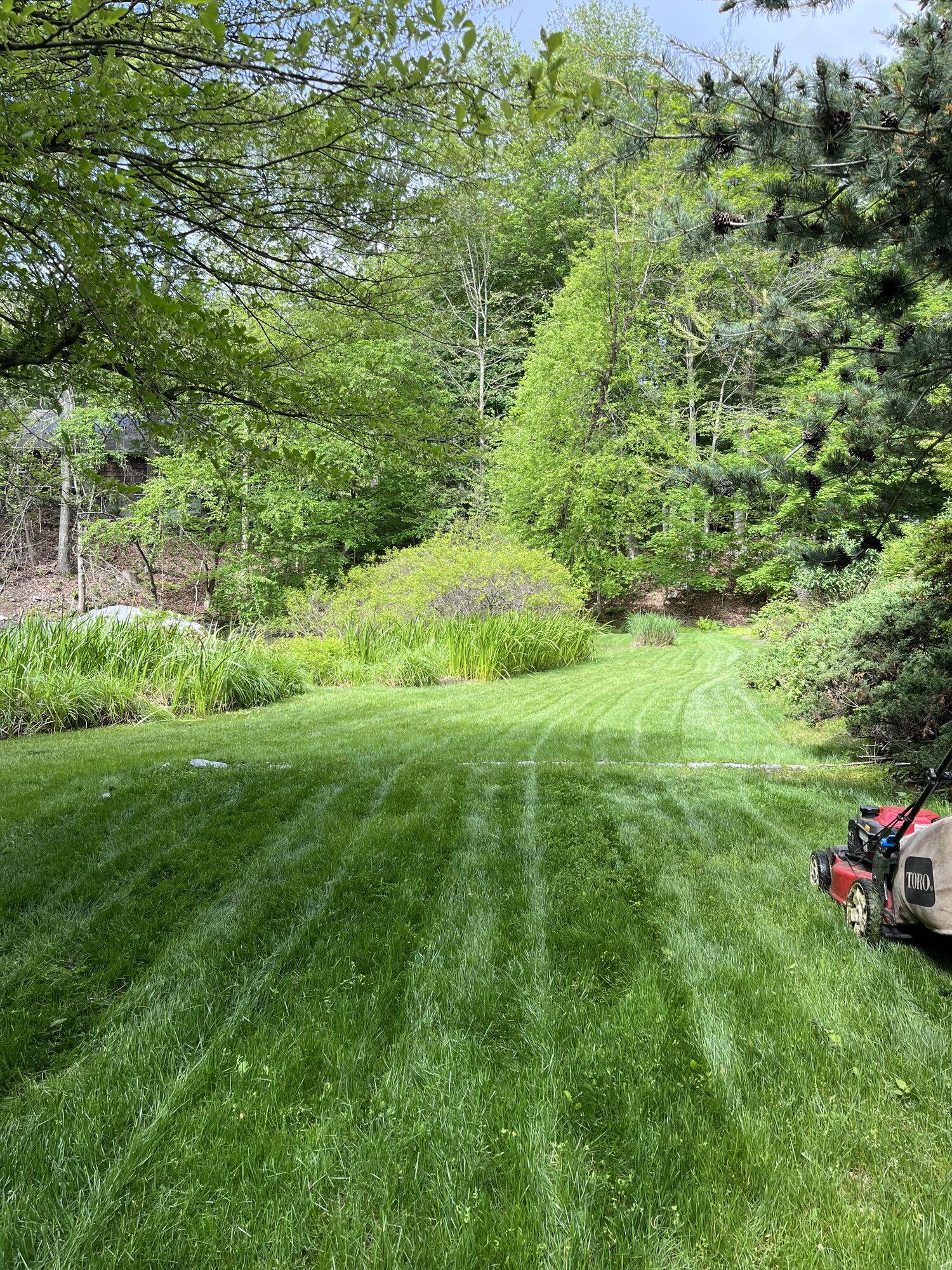 Why Weekly Mowing Matters for a Healthy Lawn