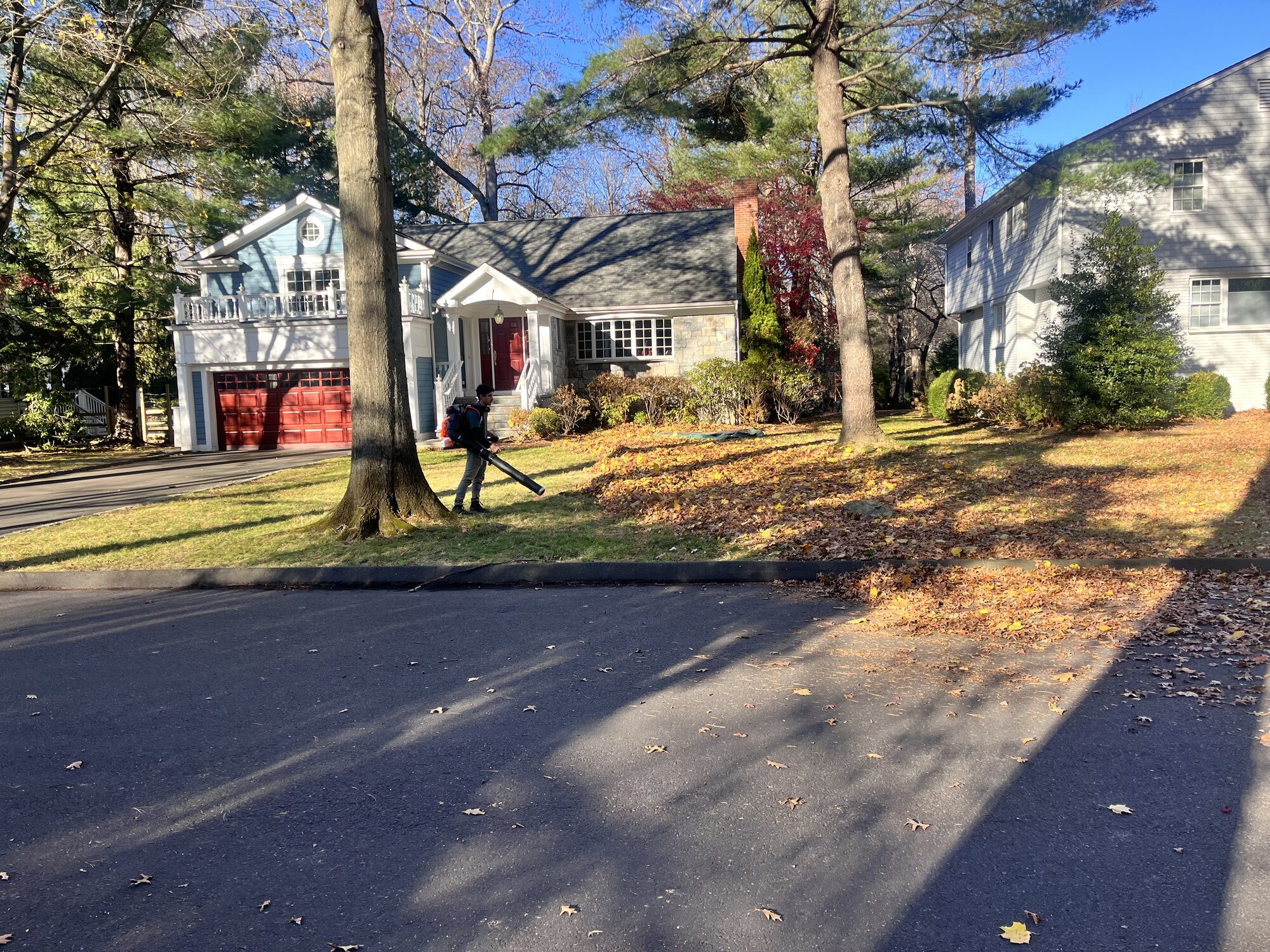 Crew member blowing fall leaves