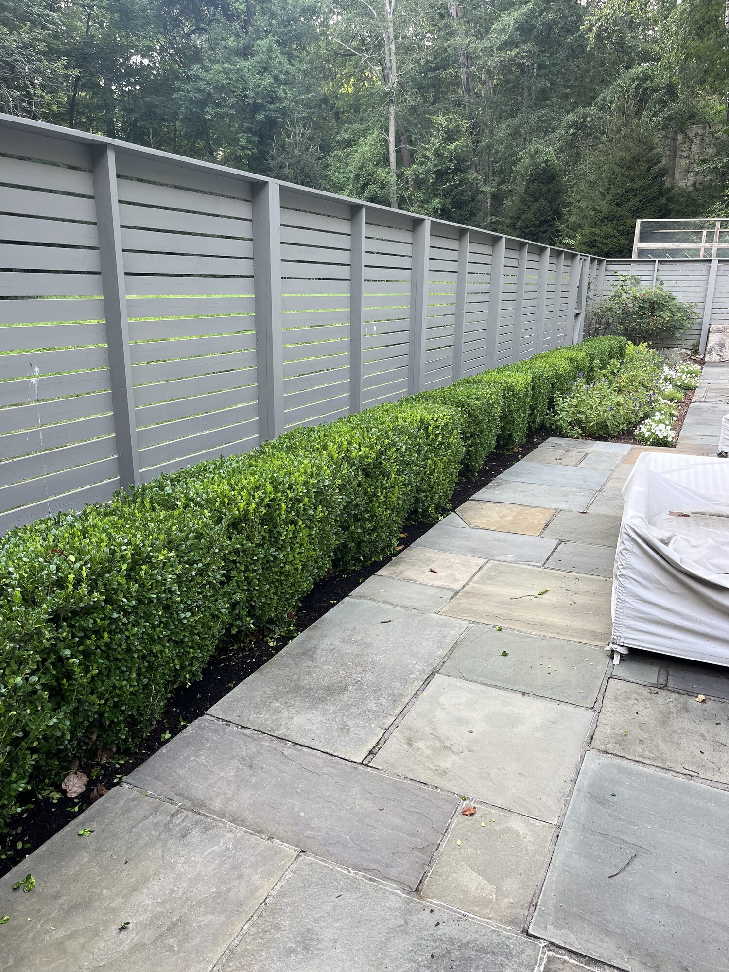 Bluestone patio with boxwood hedge border