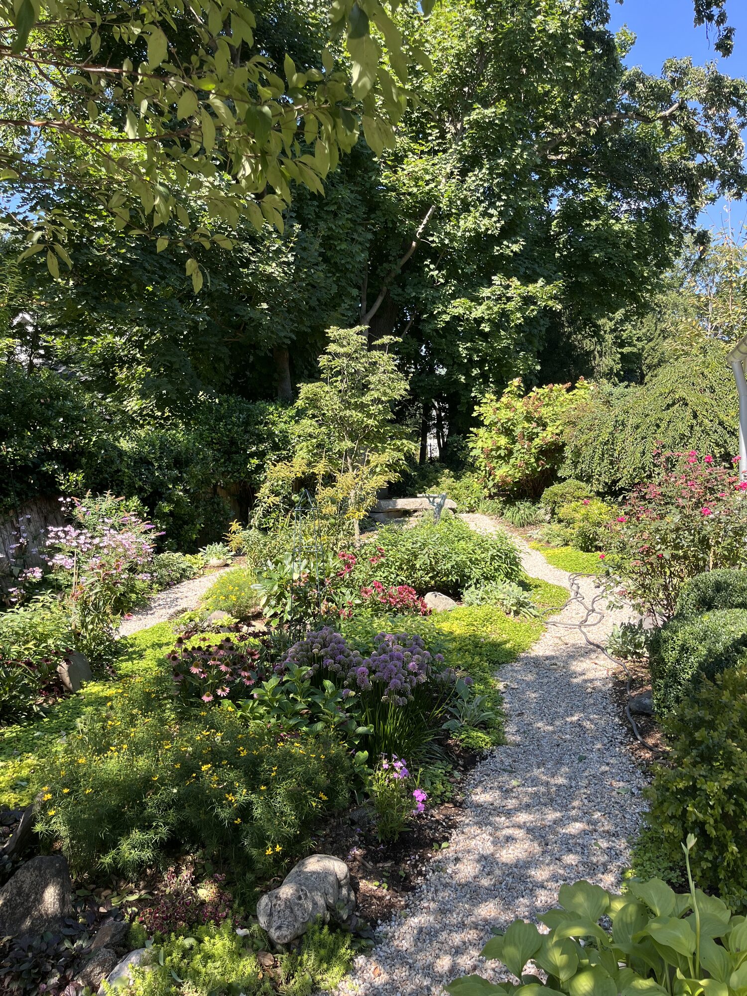 Crew planting near a backyard pool in Greenwich